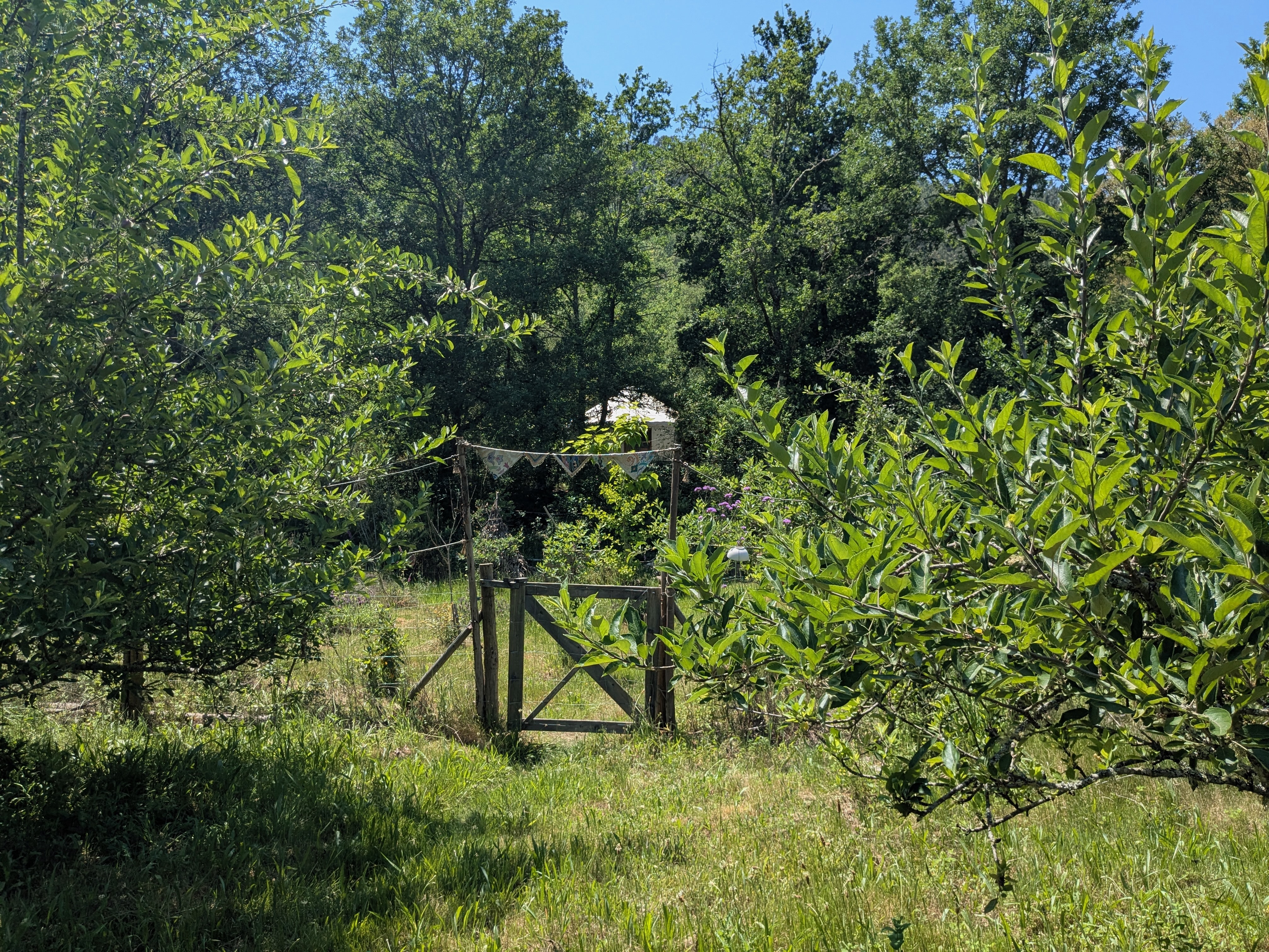 Vale do Porco orchard and garden gate